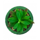 Vaso Cimento Verde Planta Artificial 8x7x7cm