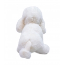 Cachorro Poodle Branco 25cm - PelÃºcia