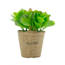 Mini Vaso Papel Bean Leaves Verde