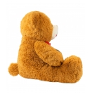 Urso Marrom Para AlguÃ©m Especial 70cm - PelÃºcia