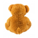 Urso Marrom Para AlguÃ©m Especial 70cm - PelÃºcia